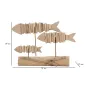 PESCI NATURE 37 10 24 cm